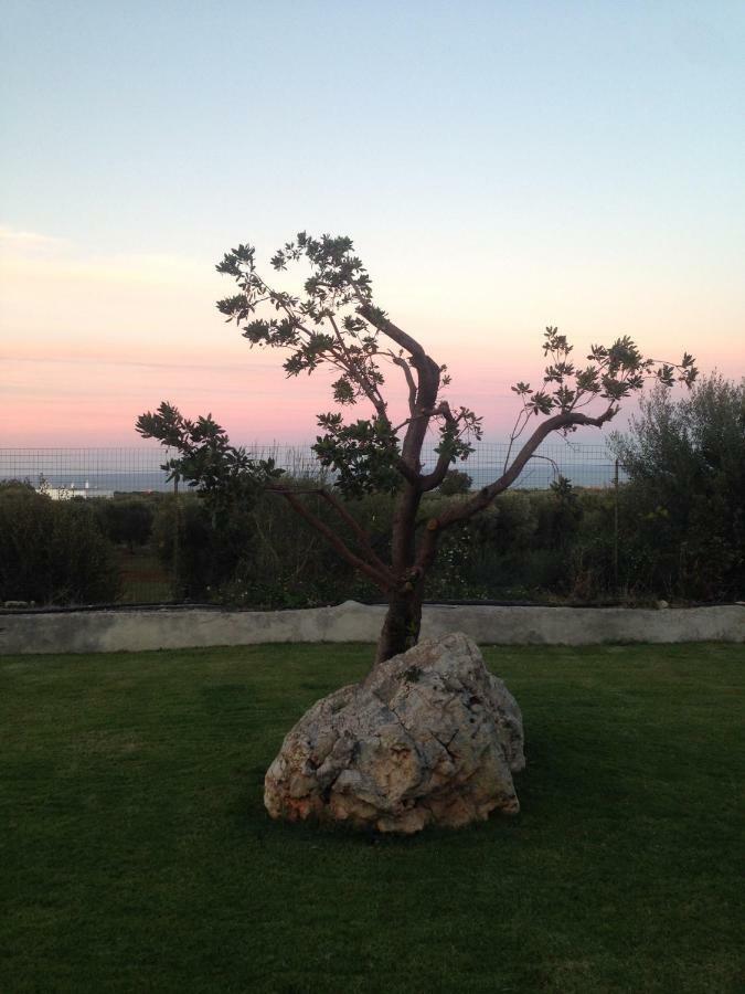 Villa Giuseppina Monopoli Esterno foto